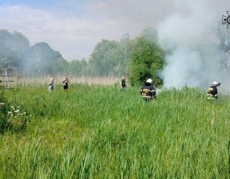 У Кропивницькому переселенців, хірургів і анестезіологів, готові забезпечити роботою і житлом