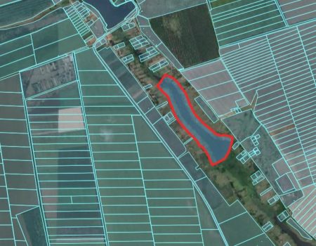 На Кіровоградщині відбудуться аукціони на право оренди чотирьох ставків