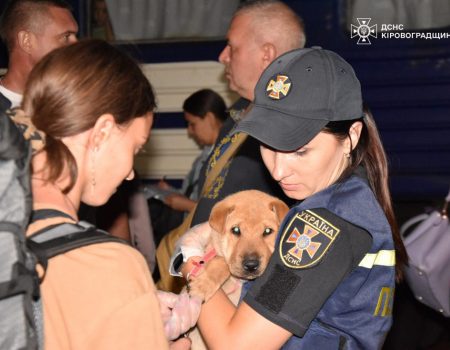 У вересні до Кіровоградщини прибули майже 700 жителів Донеччини