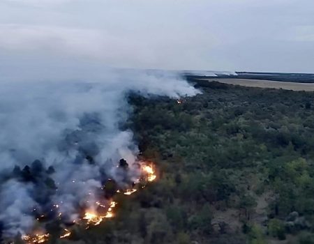 На Кіровоградщині цьогоріч сталося 24 лісові пожежі, одна з яких найбільша за останні десятиліття