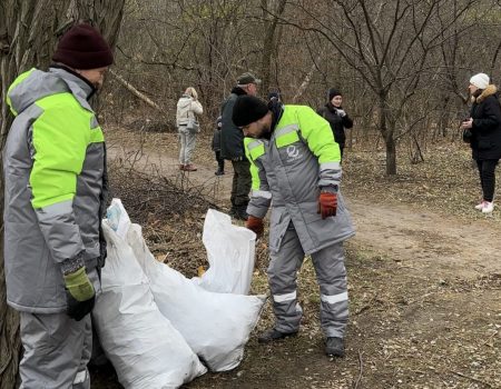 Активісти, школярі та Екостайл прибрали від сміття Кущівський ліс у Кропивницькому. ФОТО