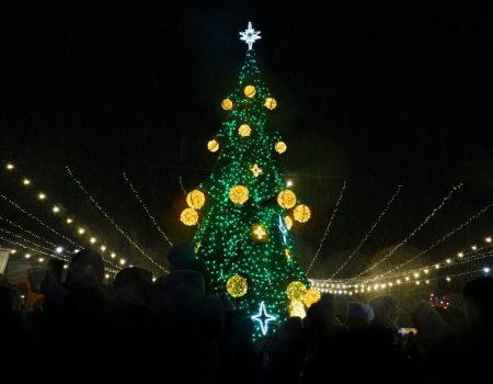 Рясний сніг додав особливої атмосфери відкриттю новорічної ялинки в кропивницькому Дендропарку. ФОТО