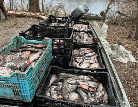На Кіровоградщині у браконьєрів за один рейд вилучили пів тонни риби – збитки оцінюють у 2,5 млн грн. ФОТО