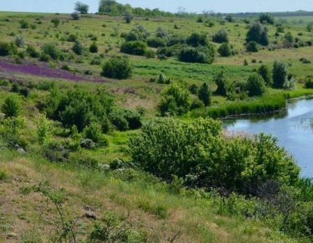 Не Суворівське, а Козацьке: на Кіровоградщині перейменували 13 річок, джерел та урочищ