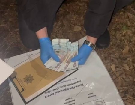 Посадовця Кіровоградської обласної фітосанітарної лабораторії судитимуть за хабарництво
