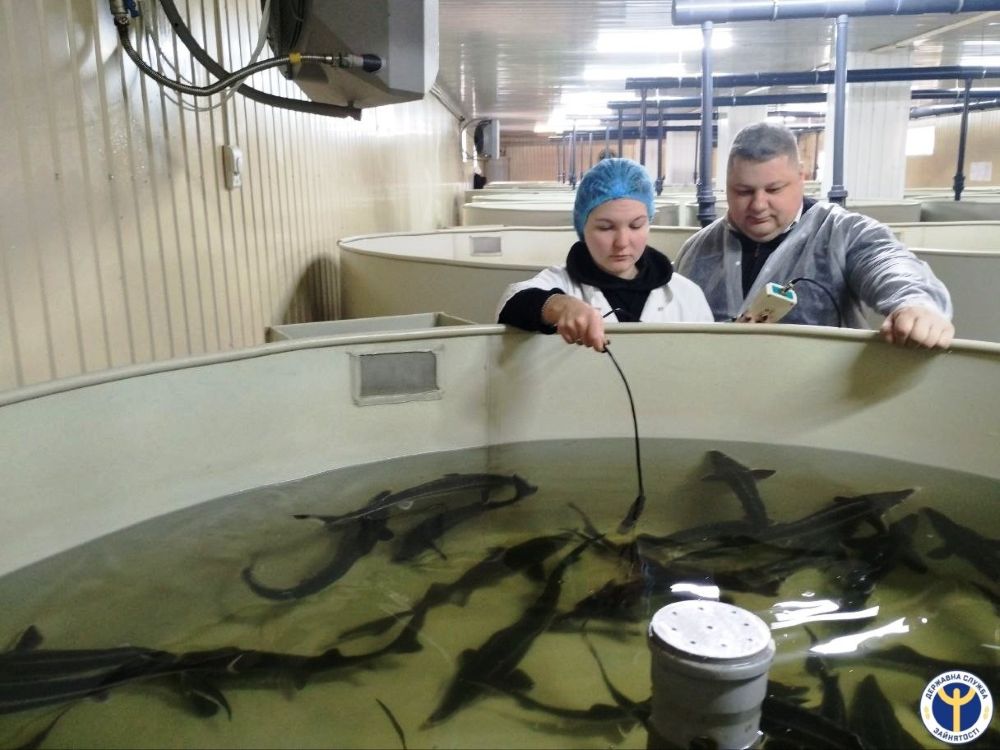 рибництво, аквакультура, осетрові, ферма, водойма, рибне господарство, лабораторія, наукові дослідження, виробництво, рибоводство