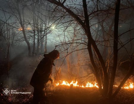На Кіровоградщині за добу вигоріло понад 16 га сухостою. ФОТО