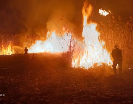 На Кіровоградщині посилили боротьбу з паліями сухої рослинності, 10 осіб притягнули до відповідальності