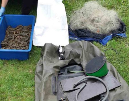 На Кіровоградщині вимагали “данину” з рибопромислових підприємств і браконьєрів