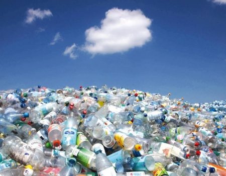 Директора підприємства підозрюють у забрудненні земель та збитках довкіллю на пів мільйона гривень