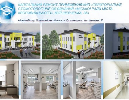 Земельну ділянку під міні-притулок для собак, досі не знайшли у Кропивницькому