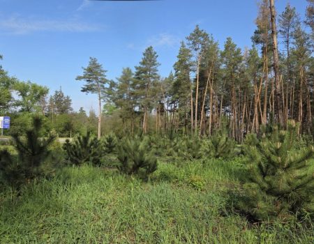 Кропивничани попрощалися з загиблим воїном Сергієм Михайленком. ФОТО