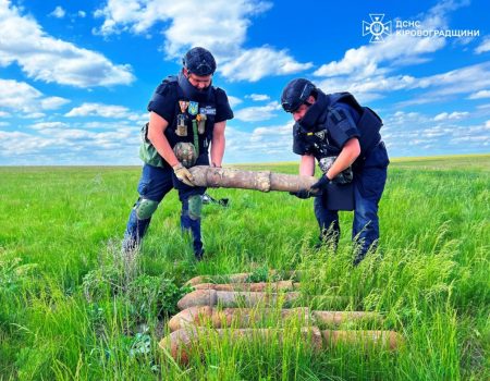 У Кропивницькому водій дізнався від патрульних, що купив авто з підробленими документами