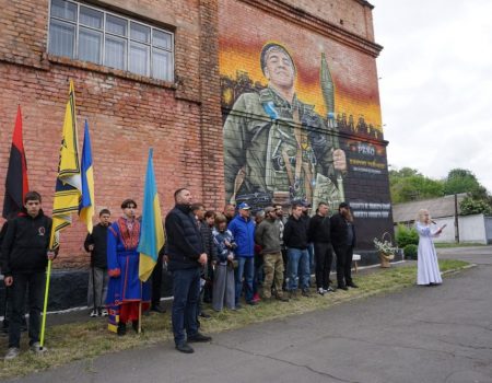 Земельну ділянку під міні-притулок для собак, досі не знайшли у Кропивницькому