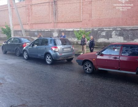 Земельну ділянку під міні-притулок для собак, досі не знайшли у Кропивницькому