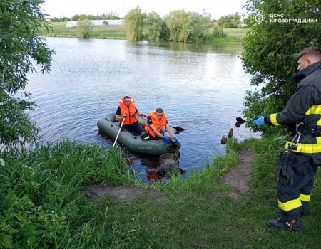 У Кропивницькому вшанували пам’ять Тараса Шевченка з нагоди річниці його перепоховання