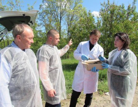 У Кропивницькому вчитимуть, як стати екскурсоводом