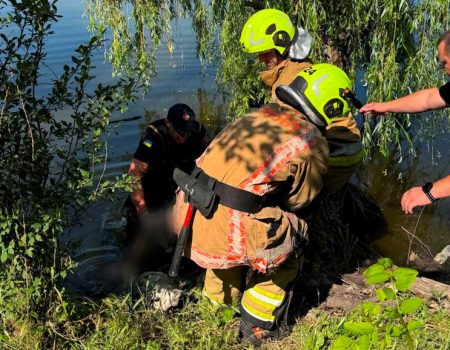 Громадська організація добивається якісного знеболення для невиліковно хворих Кіровоградщини