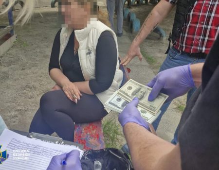 Першому заступнику голови Олександрівської ТГ загрожує від 5 до 10 років в’язниці