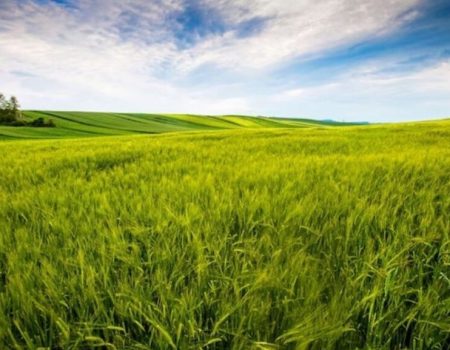 «Кіровоградгаз» відновлює роботу контролерів