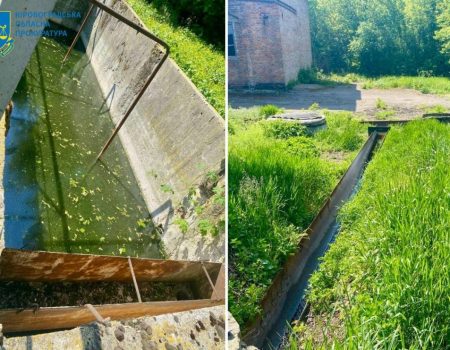 Донеччанка за підтримки держави знайшла роботу на Кіровоградщині