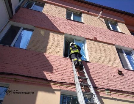 Міркування Вані Нарізатія щодо Нового року та Різдва