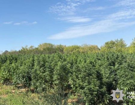 Тривають останні приготування до Національного фестивалю “Кропивницький”