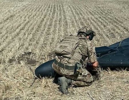 У Кропивницькому будівельників змусили відколупати асфальт навколо дерев. ВІДЕО
