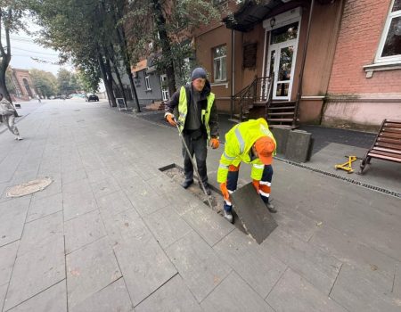 Кіровоградщина: у вбивстві 16-річної Вікторії Макаренко підозрюють її однолітка, хлопець під вартою