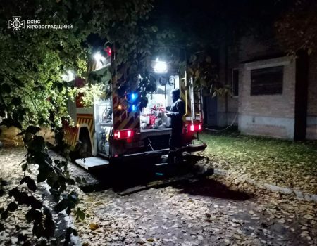 Митний «відстій»: порушень при перевірці вантажів «Градолії» не знайшли, але осад лишився
