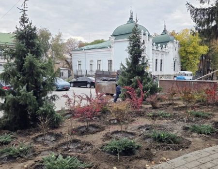 Синоптики відзначили несприятливі умови на Кіровоградщині для сівби під наступний урожай