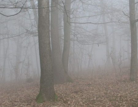 На Кіровоградщині зеленкою зіпсували білборд партії  Петра Порошенка