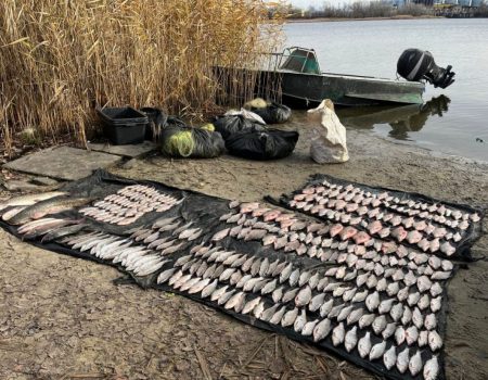 За 2023 рік на дорогах Кіровоградщини травмувалися понад тисячу людей