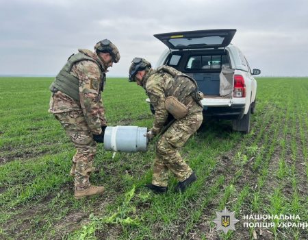 Як нардепи від Кіровоградщини голосували за мовний закон, і що він дає