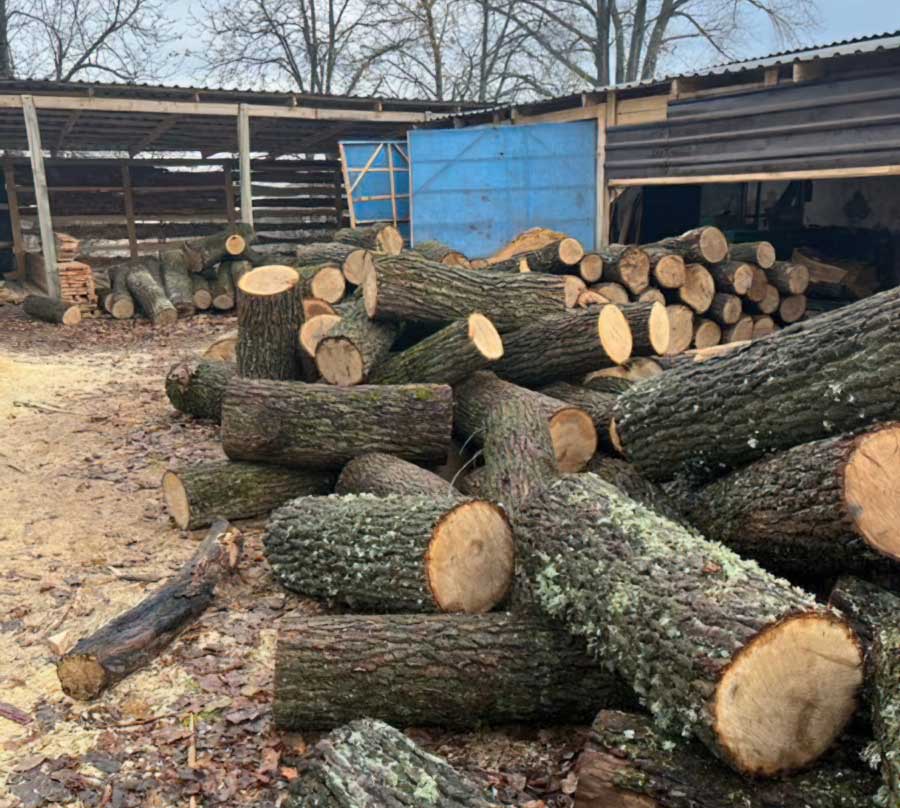 На Кіровоградщині поліцейські викрили трьох чоловіків у незаконній порубці лісу