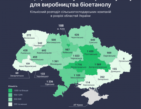 Водія, який наїхав на дівчину та утік з місця події, засудили до 5 років