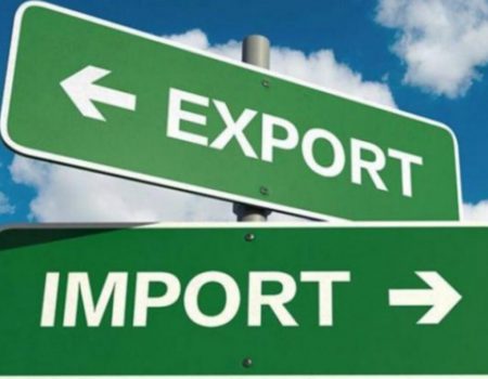 На Кіровоградщині поліцейські конфіскували понад пів тисячі рослин конопель